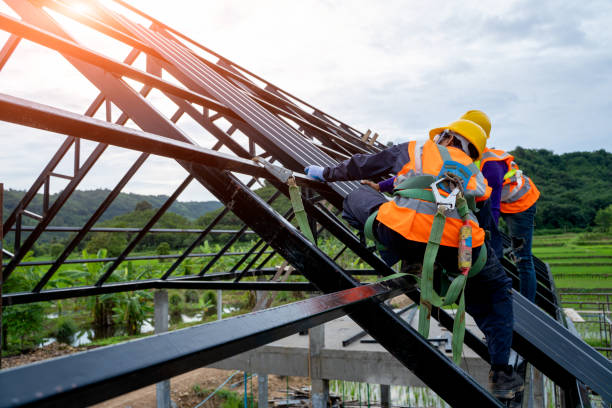 Best Roof Gutter Cleaning  in Four Bridges, OH