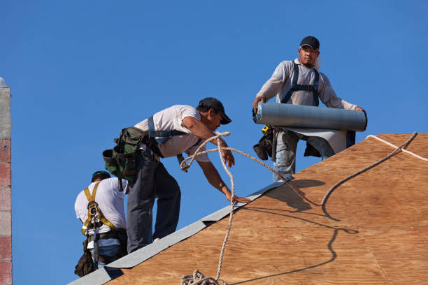 Best Roof Restoration Services  in Four Bridges, OH